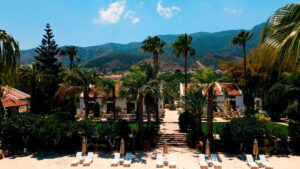 The Almond, Kyrenia