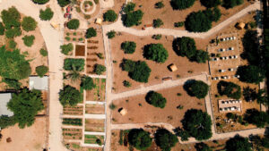 The Almond, Kyrenia