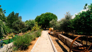 The Almond, Kyrenia