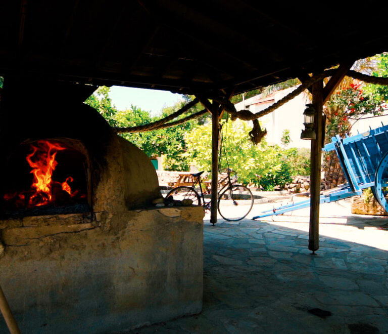 Clubs & Activities in Northern Cyprus