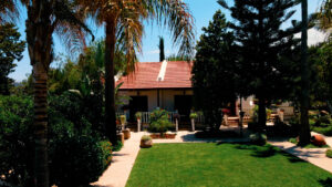 The Almond, Kyrenia