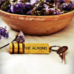 the almond